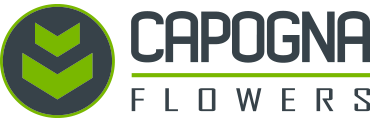 Capogna Flowers